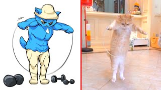 😂Cat Memes: We Live, We Love, We Lie - Smurf Cat 😹 Trending Funny Animals 2024 😊
