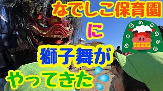 獅子舞　なでしこ保育園のお正月