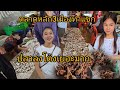 #เที่ยวลาว#food ตลาดหลัก3เมืองท่าแขก #บรรยากาศ ช่วงนี้ปลาเยอะมากถูกๆ#เมืองท่าแขก #แขวงคำม่วน #สปปลาว