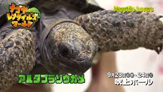 【公式】 ナゴヤレプタイルズワールド2017・出店紹介【Herptile Lovers】