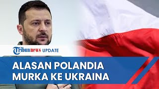 Polandia Pro Rusia? Kini BERSETERU dengan Ukraina Gegara Tank Barat Rusak \u0026 Tak Bisa Perbaiki