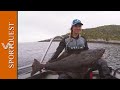 Norways Best Halibut Fishing Destination | Havoysund  🇳🇴