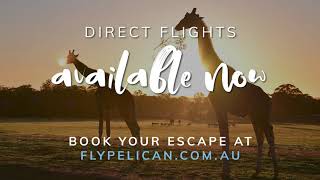 Fly from Ballina/Byron to Dubbo - direct!