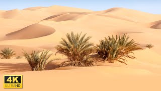 Flying Over Desert Landscape in 4K Video Ultra HD with Relaxing Music