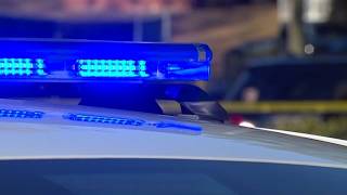 North Carolina officer fired after video shows him repeatedly punching woman during arrest