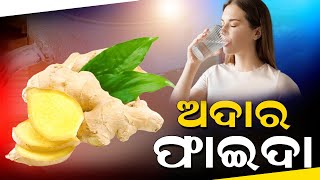 Drink ginger water in the morning on an empty stomach | ସକାଳେ ଖାଲି ପେଟରେ ପିଅନ୍ତୁ ଅଦା ପାଣି |