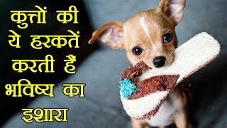 Dogs Habit that predict future: कुत्ते की ये हरकत करती है अपशकुन की ओर इशारा | Boldsky