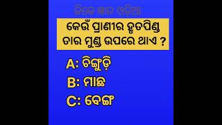 କେଉଁ ପ୍ରାଣୀର ହୃତପିଣ୍ଡ ତାର ମୁଣ୍ଡ ଉପରେ ଥାଏ#short @youtubegktips