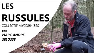 Épisode 14 : LES RUSSULES - Marc André SELOSSE \u0026 le Collectif Mycorhizes