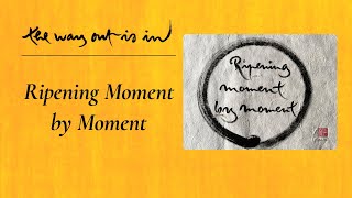 Ripening Moment by Moment | TWOII podcast | Episode #64