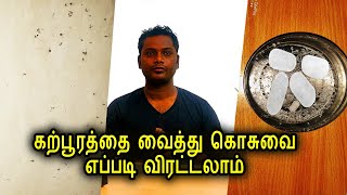 கற்பூரத்தை வைத்து கொசுவை எப்படி விரட்டலாம் / Mosquito Killer Home in tamil / karpuram