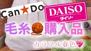 【購入品】キャンドゥ、DAISO毛糸購入品【カラフル春色】