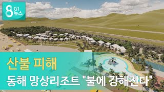 [G1뉴스] 산불피해 동해 망상리조트 \