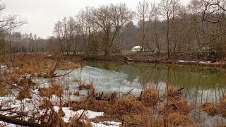 Трудовая-Ходовая рыбалка на Микро-речке.Бывает и Так.