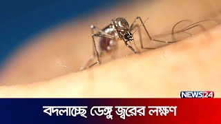 চরিত্র বদলাচ্ছে ডেঙ্গুবাহী এডিস মশা | Dengue Situation | News24