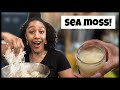 SEA MOSS GEL - Making & Trying Sea Moss Gel for the First Time!