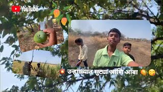 | उन्हाळ्यात सुट्या आणि आंबा 🥭 |Sammer holidays and  mango🥭