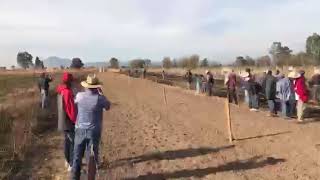 Cara de chango vs malquerida 200 varas