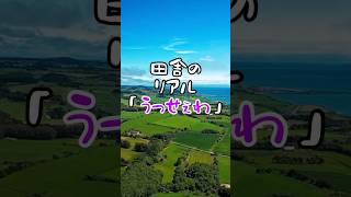 田舎のリアル『うっせぇわ』 #あるある #お笑い #鹿児島 #鹿児島県 #鹿児島出身