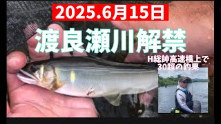 June 15, 2025. Watarase River fishing season is over‼️ #fishing #ayufishing #Sunline #Suntech #vi...