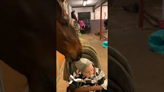 Gentle Horse Takes Baby Boy’s Hat and Chews on It