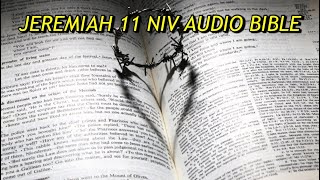 JEREMIAH 11 NIV AUDIO BIBLE(with text)