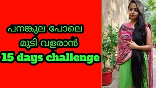 പനങ്കുല പോലെ മുടി വളരാൻ 15 days challenge