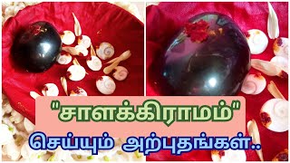 சாளக்கிராமம் வைத்து வழிபடுவதால் கிடைக்கும் நன்மைகள் |Benefits of worshipping Salagram Stone in Tamil