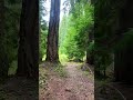 The Road Less Traveled: Upper Rogue River Trail No. 1034