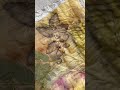 Ecoprinting on silk. Short How To