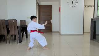 NKC KATA IND WKF 8YRS MALE 314 40