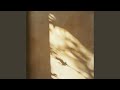 Solace (Noise)