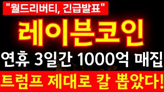 [레이븐 코인] 🔴연휴 3일간 1000억 매집!!트럼프 제대로 칼 뽑았다!!#레이븐코인 #비트코인