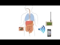 intestinal gas capsules a proof of concept demonstration