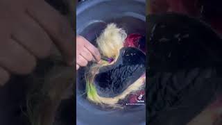 Short clip on hair coloring #wigtutorial #wigcolorist #music #newmusic