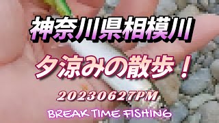 【相模川】20230627PM  フリースタイルで遊ぶ夕涼みの散歩！#バス釣り #川スモール#アユイング #マルタウグイ