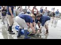 Green Sea Turtle Release August 15, 2019