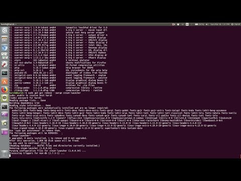 How to uninstall or delete an application package in Ubuntu Linux
