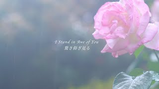 雨上がりのバラ  music:【NANAの歌】 I Stand in Awe of You（驚き仰ぎ見る）