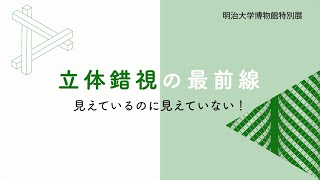 7 明治大学博物館特別展「立体錯視の最前線」