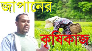 Agriculture system in Japan।। জাপানের কৃষিকাজ