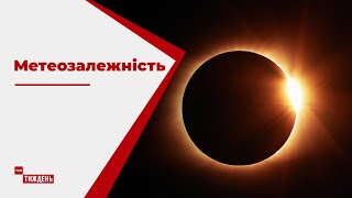 Метеозалежність: як українці спостерігали за \