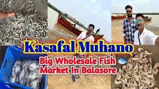 Kasafal Muhano | Biggest Wholesale Fish Market | Balasore