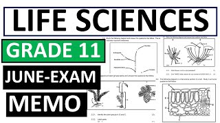 2025 Memo Garde 11 Paper 1 Physical Sciences Grade 11 June Exam Paper 1