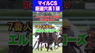 【マイルチャンピオンシップ2024厳選穴馬1頭】エルトンバローズ7人気2着🔥