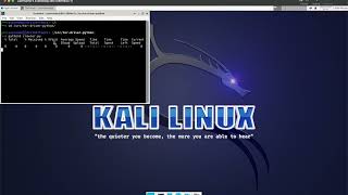 Python running Selenium with Tor Browser in Kali Linux docker Container