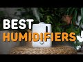 Best Humidifiers in 2021 - Top 5 Humidifiers