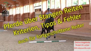 F144 Ab wann darf ich mein Pferd über Stangen reiten? Reiterhilfen, Fehler, Übungen, Kriterien