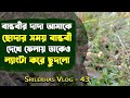 Plants & vegetable review || Black gram plant || Threadstem Sandmat || vlog- 43 || Srilekhas Vlog