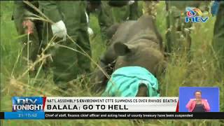 Tourism CS Najib Balala tells those blaming him for rhinos’ deaths to ‘go to hell’